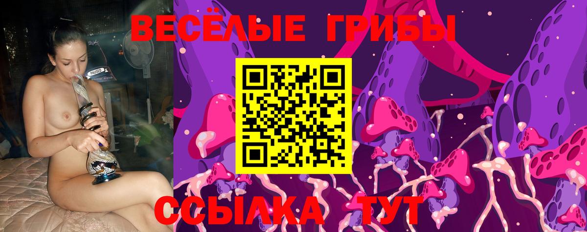 Псилоцибиновые грибы ЛСД  Вход с VPN  Галлюциногенные грибы MAGIC MUSHROOMS  Лабинск 